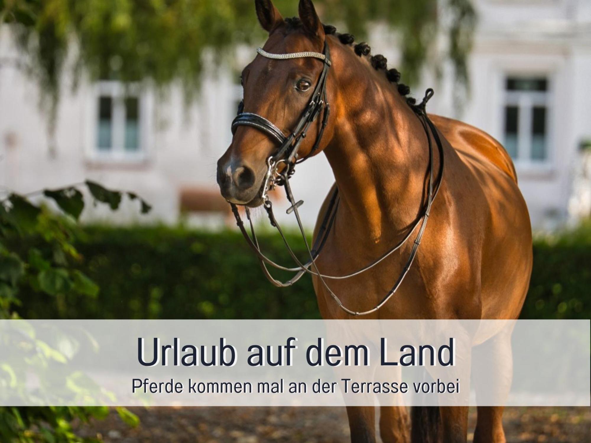 Ramoshansenhof Fewo Foerdebrise Mit Sauna Steinberg  Exteriér fotografie